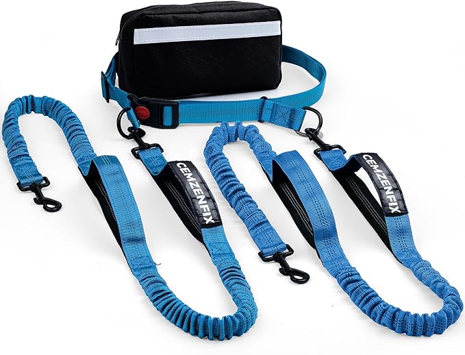 Hands Free Dog Leash for 2 Dogs – Waist Leash for Dog Walking with Dual Bungee, Reflective No Pull Design, Adjustable Belt & Pouch for Running, Hiking, Jogging