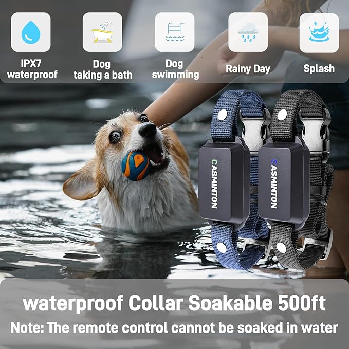 Shock Collar for 2Dogs [CRS01Pro]126 Training Levels,4Powerful Modes With 2.8inch LCD high-definition display100% Safe Training Collar for Large Medium Small Dogs IPX7 Waterproof Blue (Blue)