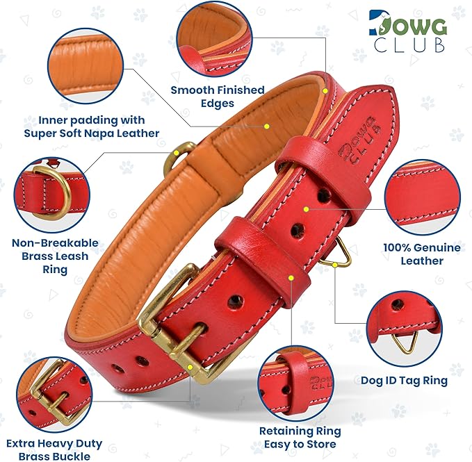 Genuine Leather Dog Collar | Full Grain, Heavy Duty, Comfortable, Padded, Strong | Best for Pups, Small, Medium, Large & XL Breeds (Large (Fit Neck Size 18.5"-22.5"), Red)