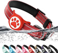 Airtag Dog Collar, Reflective Ultra-Durable Nylon Padded with QR Code Buckle & IP68 Waterproof Air Tag Holder Compatible for Apple AirTag, Comfortable for Small Medium Large Dogs(Red,L)