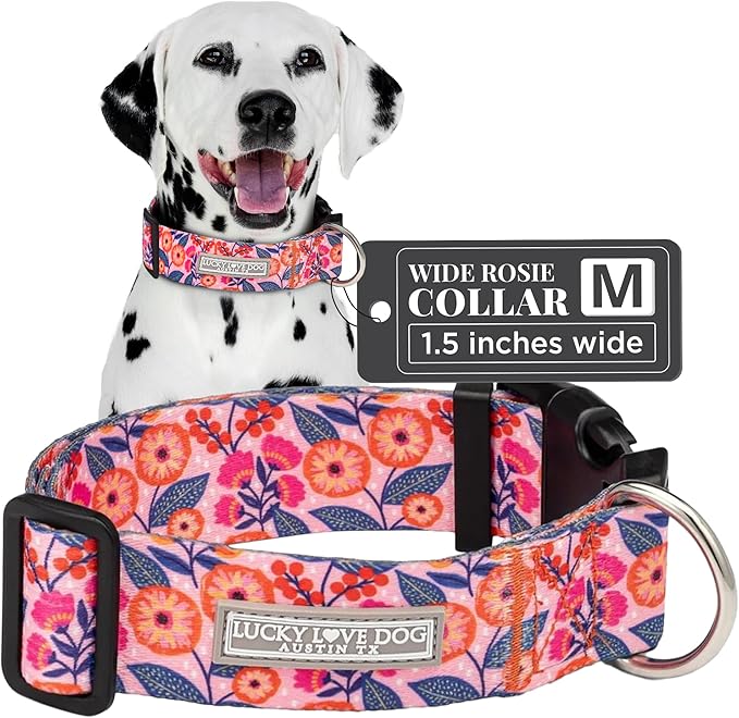 Lucky Love Dog Wide Dog Collar - Adjustable, Durable, Soft Webbing, & Comfortable 1.5 inch Wide Collar with Strong Buckle for Dogs Male and Female with Strong Buckle - Rosie, Medium