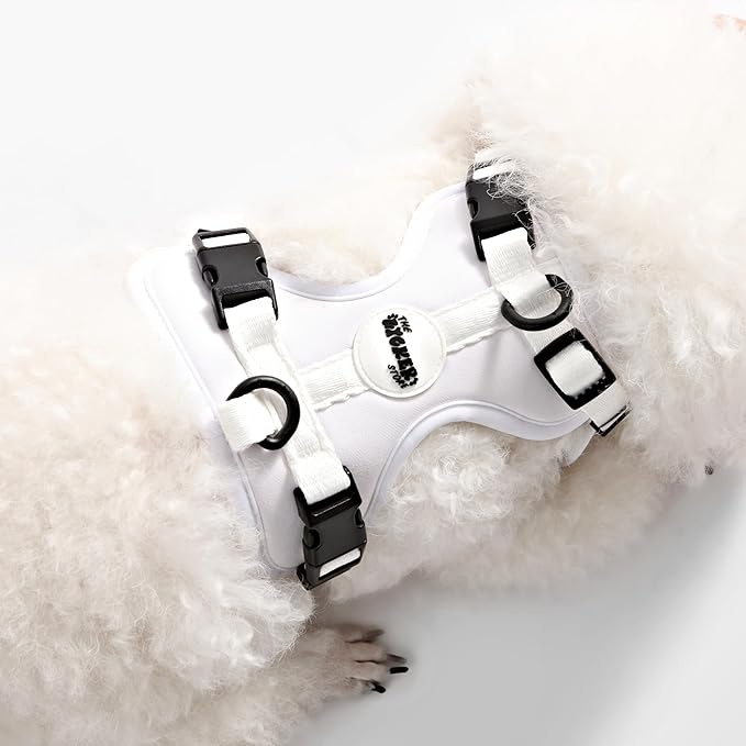 HNS1001F Arlo Small Adjustable Soft Padded No Pull Pet Harness with 3 Buckles and 3 Leash Clips, Seltzer