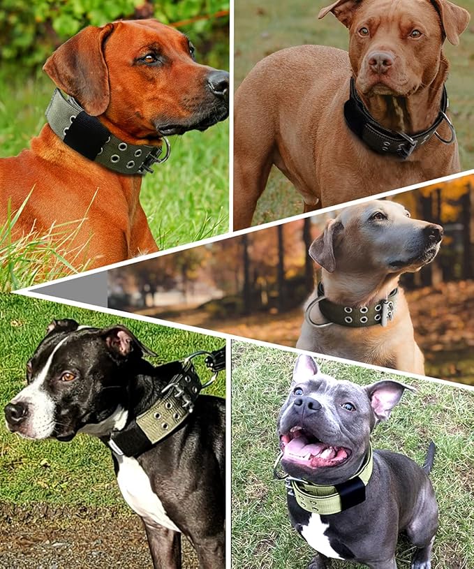 Dog Collar for Large Dogs - 2" Wide Tactical Collars with Handle for Extra Large Breed Dogs, Camo Military Heavy Duty 1/3" Thick Puppy Collar K9 Nylon Pet Collar L