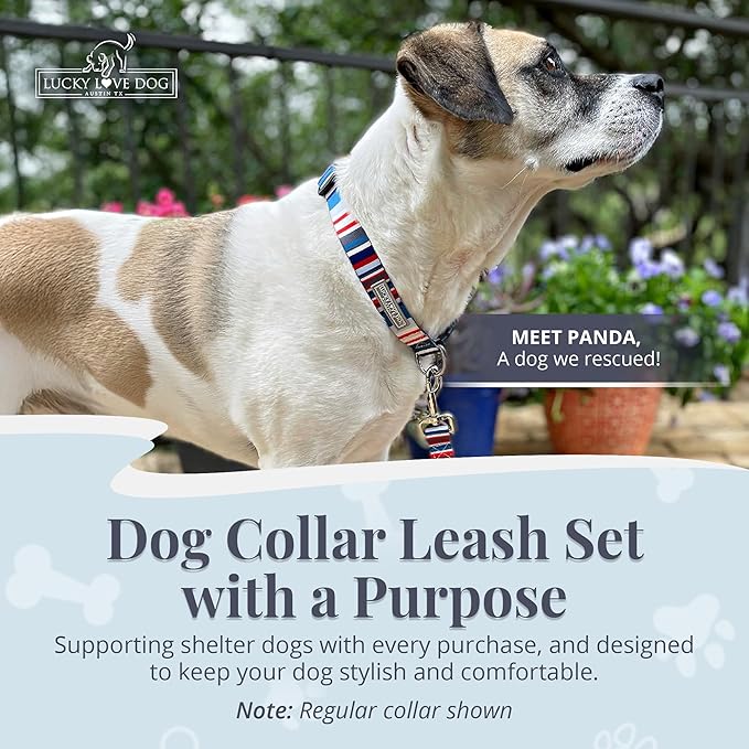 Lucky Love Dog Martingale Dog Collar & Leash - Adjustable, No-Slip, Durable, Comfortable, Soft Webbing, & Stylish Patterned Dog Collar & Leash Set for Male and Female Dogs - Linus Combo, Small