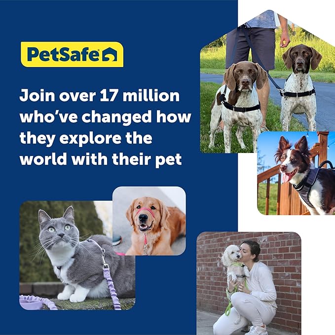 PetSafe Easy Walk No-Pull Dog Harness - The Ultimate Harness to Help Stop Pulling - Take Control & Teach Better Leash Manners - Helps Prevent Pets Pulling on Walks, Medium, Royal Blue/Navy Blue