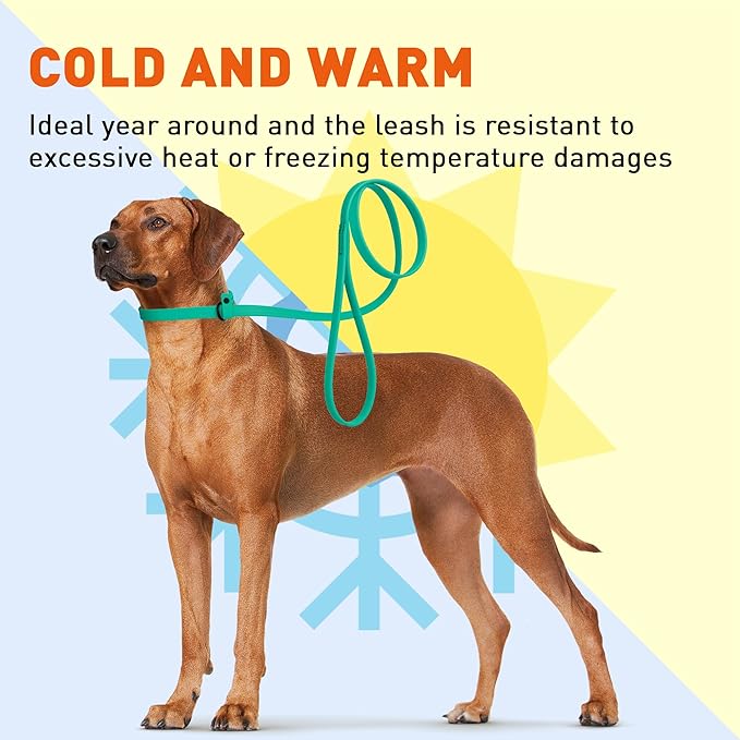 Dogline Biothane Slip Dog Leash - for Small, Medium and Large Dogs - Odor Free Slip Lead, Heavy Duty and Durable Material Kennel Lead - Teal - 7ft L x 5/8in W