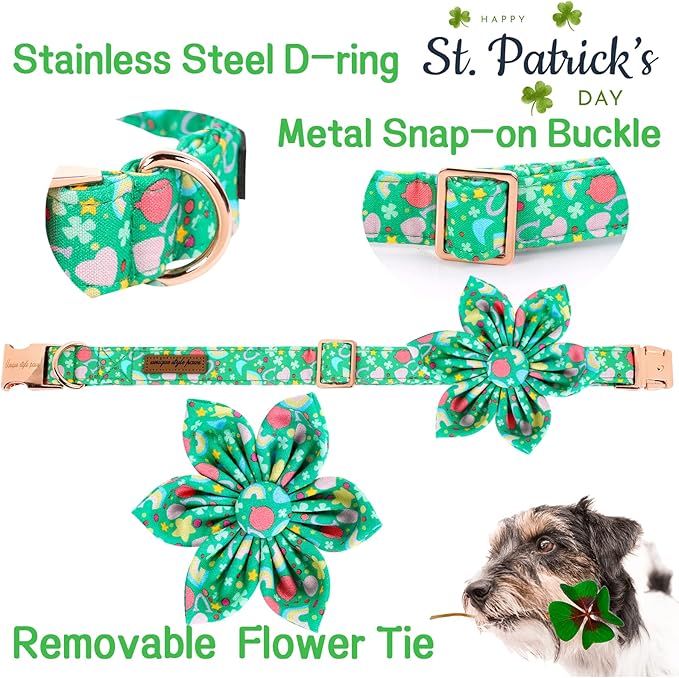 Unique style paws St. Patrick's Day Dog Collar with Flower Tie Rainbow Clover Heart Puppy Collar for Small Medium Large Boys Girls-M