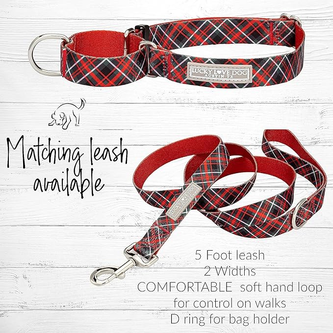 Lucky Love Dog Martingale Dog Collar & Leash - Adjustable, No-Slip, Durable, Comfortable, Soft Webbing, & Stylish Patterned Collar & Leash Set for Male and Female Dogs - Heywood Combo, Large