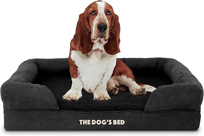 The Dog’s Bed Orthopedic Memory Foam Dog Bed with Bolsters, Plush Fabric, Black Plush, Large