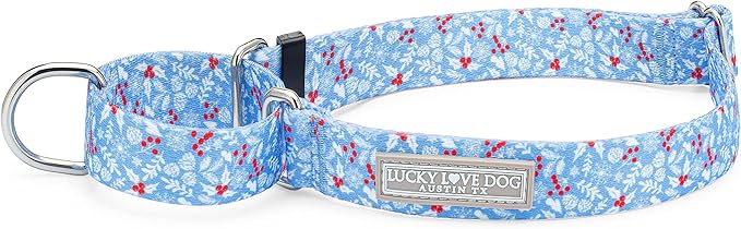 Lucky Love Dog Martingale Dog Collar - Adjustable, No-Slip, Durable, & Soft Webbing Collar for Male and Female Dogs Ideal for Training & Walking - Winterblue, Medium