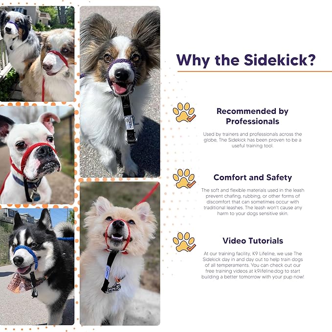 Heather's Heroes The Sidekick No-Pull Leash Black