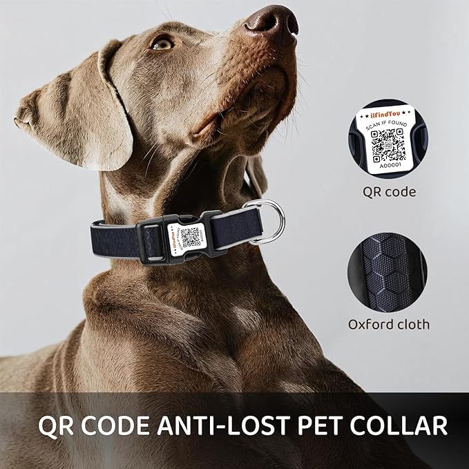 Reflective Dog Collar with QR Code Tag, Personalized Dog Collar, Safety Night Visibility, Anti-Loss Function (Black-02, Medium)
