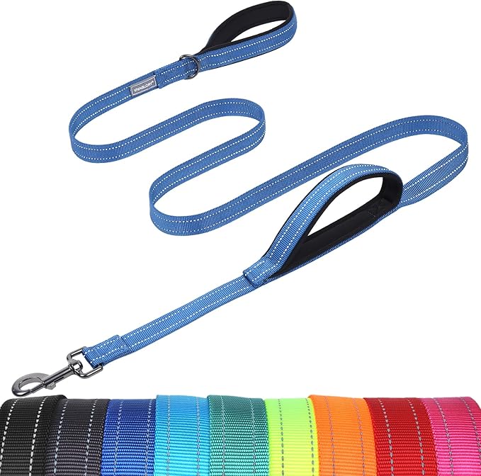 VIVAGLORY Twingrip Dog Leash, Double Handle Dog Leash for Training & Walking with Traffic Handle & 2 Loop, Traffic Control Reflective Heavy Duty for Puppy Pet, 5ft x 1in, Blue