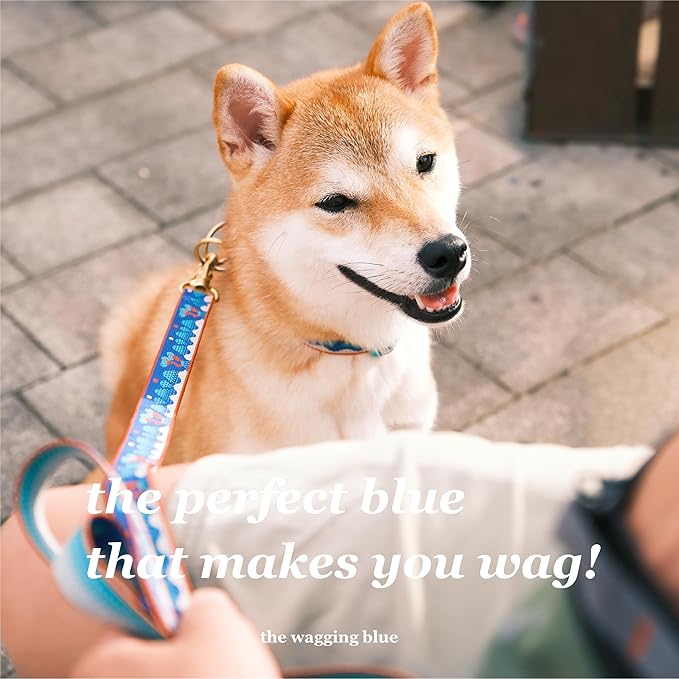 Signature Dog Leash – 63in Durable Double-Sided Jacquard Webbing, Ergonomic 0.8in Grip, Safety-Tested Hardware – Made in Korea (Basic, Ilwolobongdo)