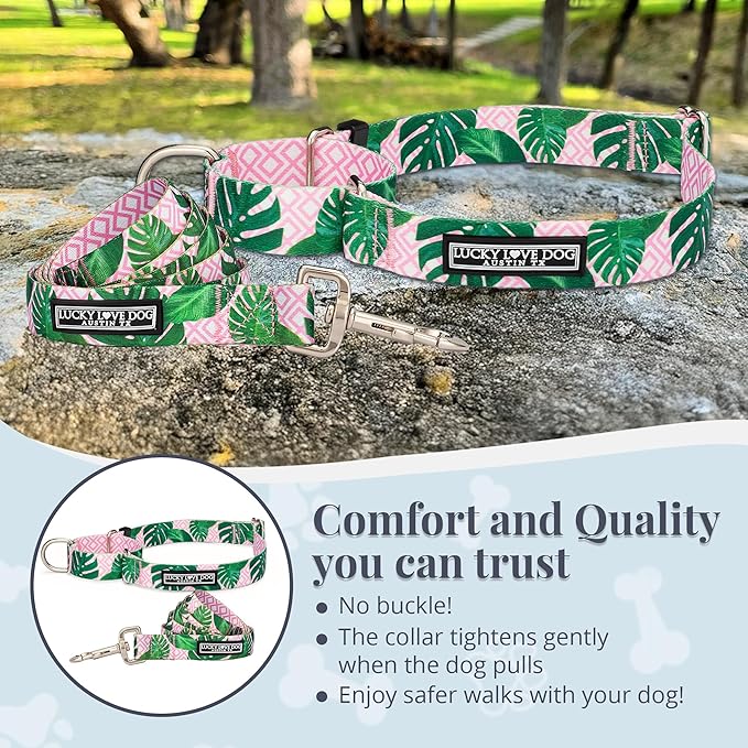 Lucky Love Dog Martingale Dog Collar & Leash - Adjustable, No-Slip, Durable, Comfortable, Soft Webbing, & Stylish Patterned Collar & Leash Set for Male and Female Dogs - Laguna Mart Combo, Large