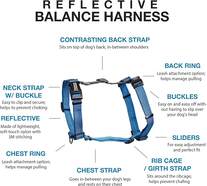 Blue-9 Reflective Buckle-Neck Balance Harness, Fully Customizable Fit No-Pull Harness with 3M Reflective Stitching, Ideal for Dog Training and Obedience, Made in The USA, Blue, XS