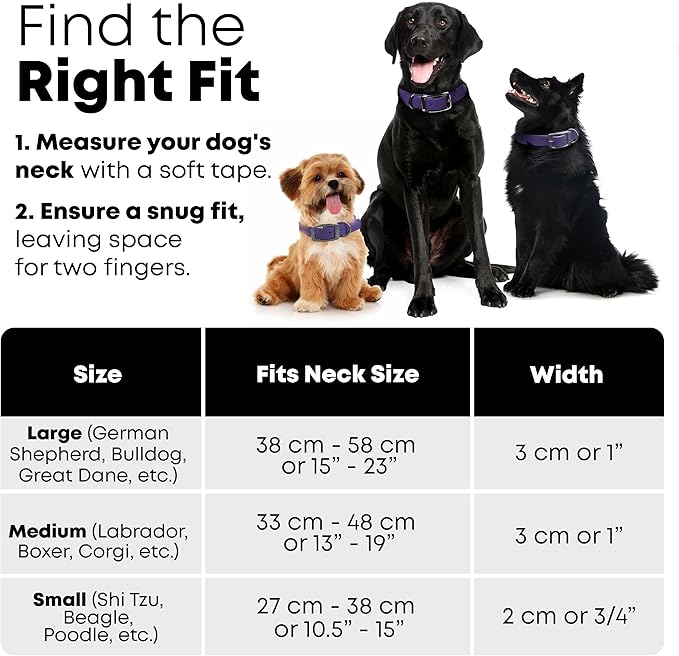Regal Dog Products Small Purple with Custom Engraved Waterproof Dog Collar and Leash Set | Waterproof Dog Collar with Double Buckle & D Ring - 5'ft Leash | Matching Dog Collar and Leash for Dogs