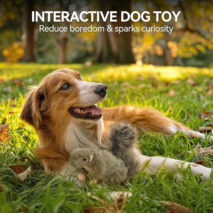 ALL FOR PAWS Squeaky Dog Toys, Plush Squirrel Dog Toy, Stuffed Animal Dog Toys for Small Medium Large Dogs, Soft Puppy Chew Toy with Squeaker