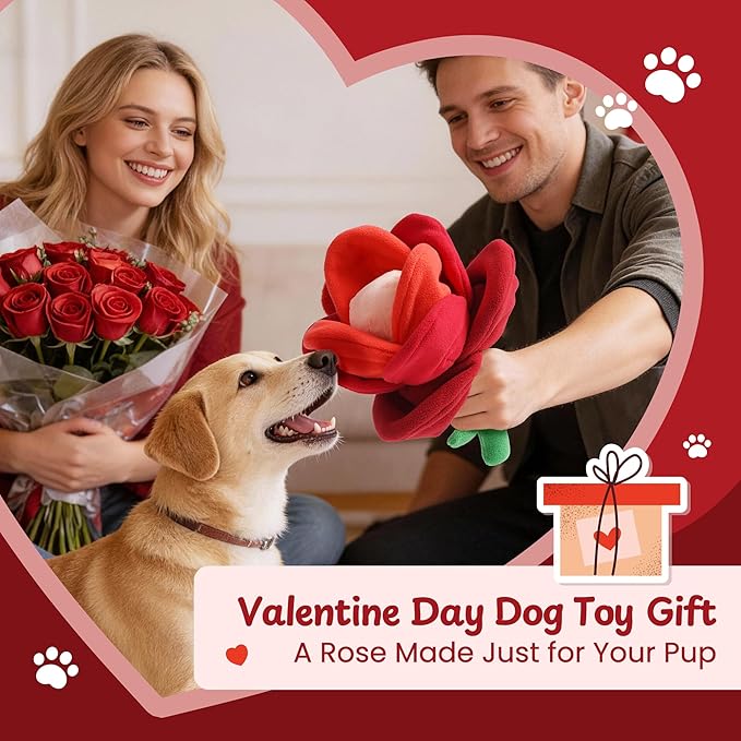 Nocciola Valentine Day Tearable Pull Apart Dog Toy, Interactive Rose Plush with Squeaky & Crinkle, Hide Treats Puzzle Toy for Aggressive Chewers, Gift for Small Medium Large Dogs