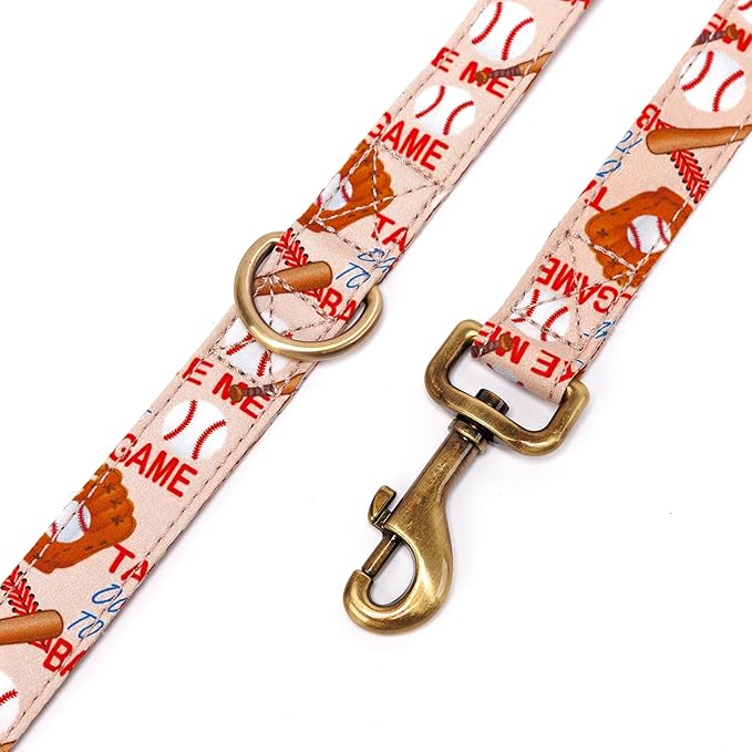 Organic Cotton Dog Leash for Small,Medium and Large Breed,Brass Hardware Pet Leash for Walking,Running and Training 6FT