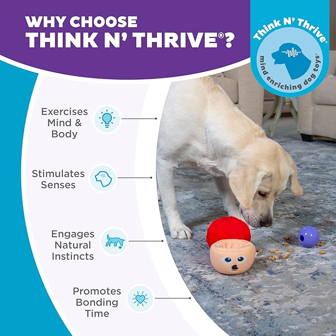 Outward Hound by Nina Ottosson Snack Palz Interactive Plush Dog Puzzle with Treat Ball, Mushroom, Multicolored