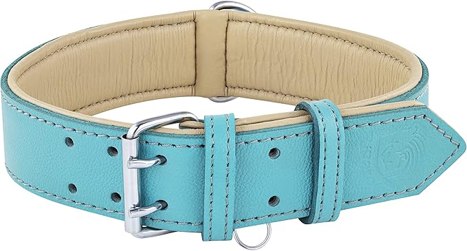 Riparo Adjustable Leather Dog Collar - Heavy Duty Wide Dog Collar for Small, Medium, Large and Extra Large Dogs with Dog Tag Holder (XXL: 2” Wide for 26”-29” Neck, Aqua)