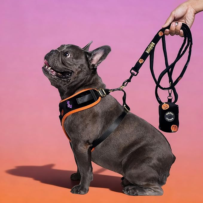 5 FT Stylish Dog Leash, Soft Dog Leashes with Comfortable Padded Handle, Metal Carabiner Clip, Strong No Pull Pet Leash for Small Medium Dogs for Walking, Shopping and Running