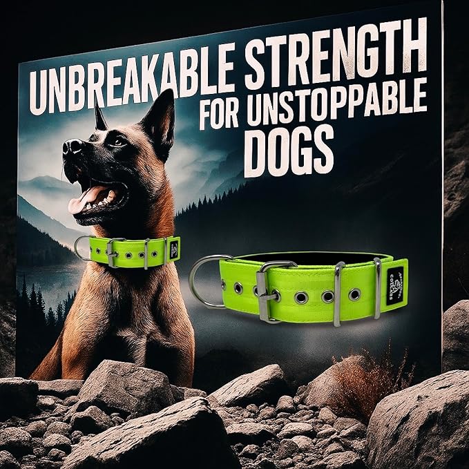 SparkDog Collars Working Dog Collar - 2" 4ply Padded Dog Collar Heavy Duty Stainless Steel Tactical Seatbelt Wide Buckle Collar (Lime 2.0, 16-21" Large)