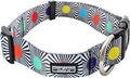 Lucky Love Dog - Adjustable Dog Collar with Easy Click Buckle for Medium, Durable, & Comfortable for Male & Female Dogs, Pet Collar for Puppies & Adult Dogs - SOCO, Medium