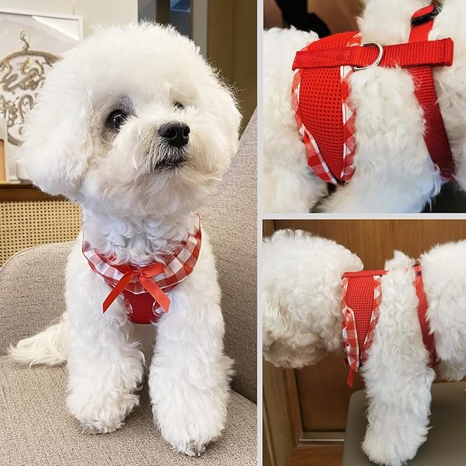 SuperBuddy Upgraded Soft Mesh Dog Harness Super Breathable Lightweight Pet Harnesses for Puppy Dogs Outdoor Walking, Red Dog Harness and Dog Leash Set Packing -Large