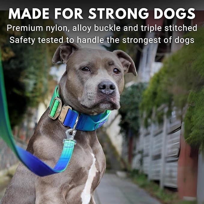 Spark Paws Tactical Dog Collar - Heavy Duty, Premium Quality, Thick and Durable for Large and Medium Dogs - Lime Wave - L - 1.5"