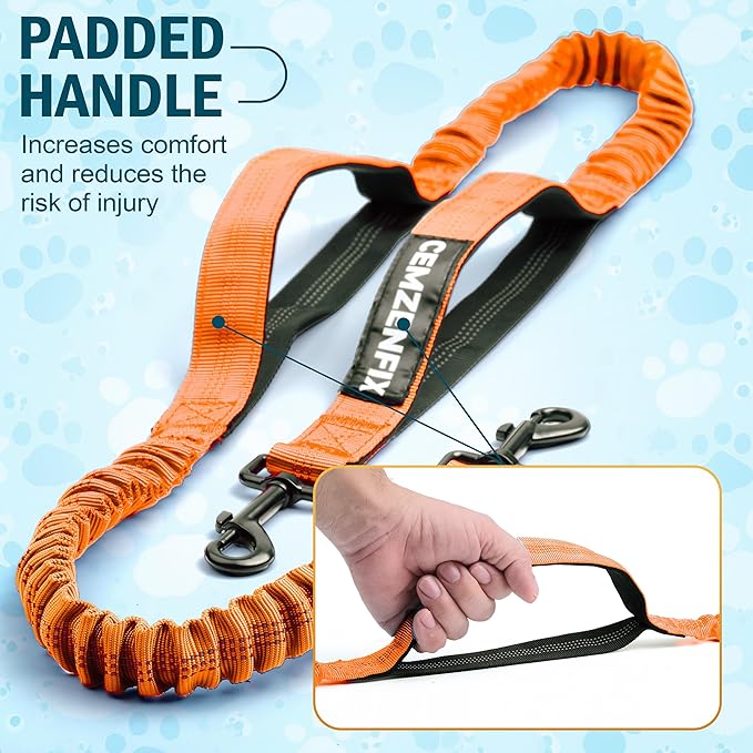 Hands Free Dog Leash for 2 Dogs – Waist Leash for Dog Walking with Dual Bungee, Reflective No Pull Design, Adjustable Belt & Pouch for Running, Hiking, Jogging