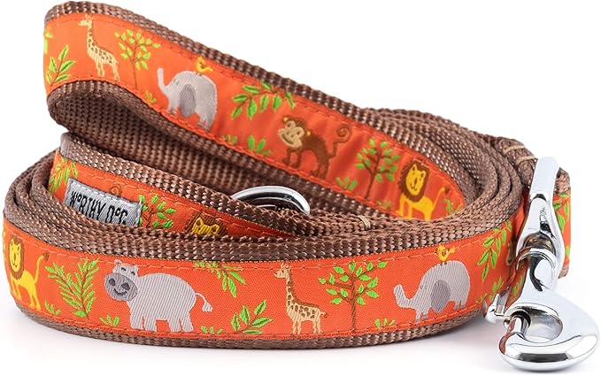 The Worthy Dog Zoofari Dog Leash, Durable and Comfortable Nylon Webbing, Leashes for Walking, Fits Large Size Dogs, Coral
