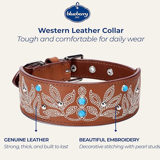Blueberry Pet Western Dog Collar in Canyon Brown - 15-18 Inch Necks Floral-Embroidered Leather with Turquoise Studs, Dog Collars for Medium Dogs, Adjustable Leather Girl Dog Collar