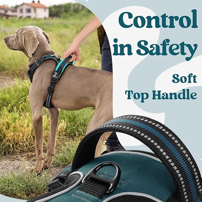 rabbitgoo Dog Harness Medium Sized, No Pull Pet Harness with 3 Buckles, Adjustable Soft Padded Vest with Control Handle, Walking Reflective Pet Vest for Medium Dogs, Blue Coral, M