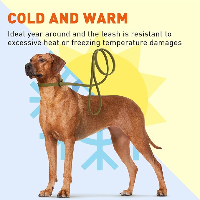 Dogline Biothane Slip Dog Leash - for Small, Medium and Large Dogs - Odor Free Slip Lead, Heavy Duty and Durable Material Kennel Lead - Olive Drab Green - 5ft L x 5/8in W