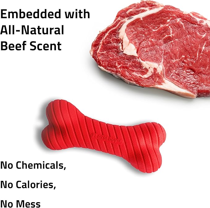 Playology Dog Toys | Dual Layer Bone Durable Chew Toy Bone for Dogs (Value 3-Pack) | Small Beef Scented Toy - Easy to Clean and Made from Non Toxic Materials