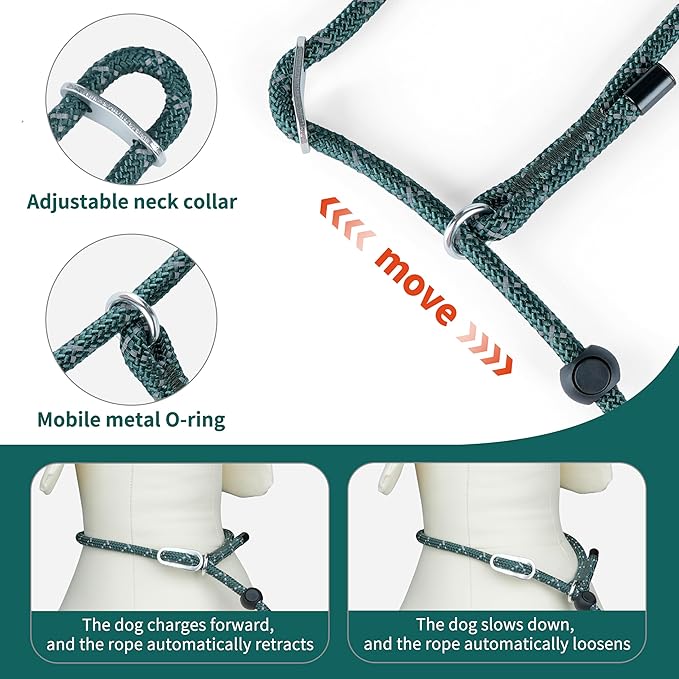 Dog Slip Lead Dog Leash, Heavy Duty No-Pull Training Leash w/Poop Bag Holder, Anti-Tangle, Multi-Handles & Reflective Thread for Medium, Large Dogs 5.5FT Green