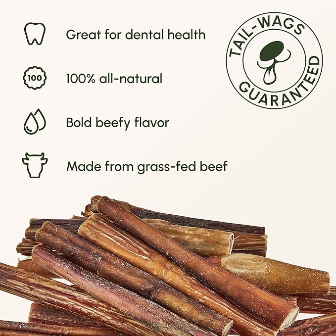 Downtown Pet Supply Bully Sticks for Dogs - Natural 6 Inch Beef Chews, Odor-Free & Rawhide-Free, Long Lasting Dog Treats for Aggressive Chewers - Healthy, Safe & Delicious Chews Dogs Love (10 Pack)