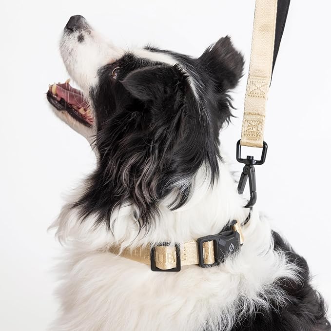 2026 New Edition, Fei & Eve MagEase Dog Collar - Patented Magnetic Buckles | Fur-Safe | Premium 210D Nylon | 450LB Escape-Proof | Adjustable Fit | Medium (Champagne)