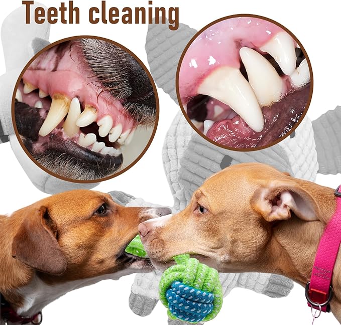 12 Pack Dog Squeaky Toys: Cute Interactive Plush Chew Toys with Rope, Puppy Teething Toys Bundle for Small Medium Dogs to Keep Busy