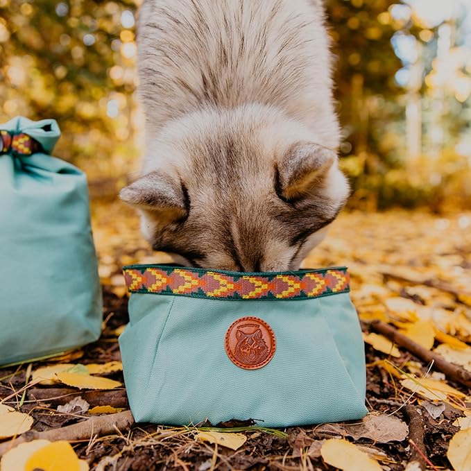 Wilderdog Backpacking Bowl - Holds Food & Water Up to 64oz - Pacific Blue