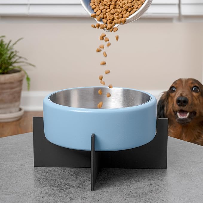 DBL3000F Intersecta Small/Medium Concrete and Stainless Steel Bowl 16oz (2 Cups) with Metal Stand Pet Feeder, Blue/Black