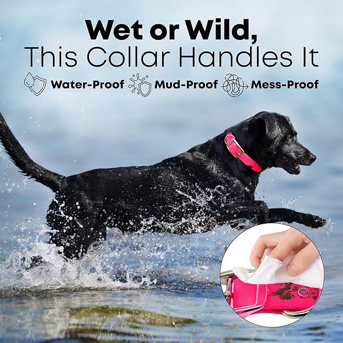 Regal Dog Products Medium Pink Waterproof Dog Collars with Custom Engraved Name Plate | Vinyl Coated, Anti, Easy to Clean Personalized Biothane Dog Collar - Other Sizes for Small & Large Dogs