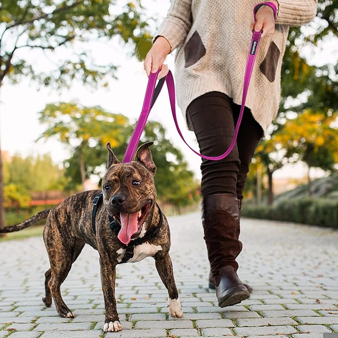PetiFine 6FT Heavy Duty Dog Leash with Soft Padded Double Handle, Durable Strong Clasp Dog Leashes, Reflective Nylon Walking Lead for Large,Medium,Small Breed Dogs, Rose