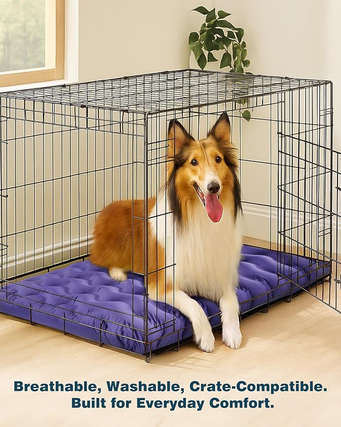 Orthopedic Dog Bed Outdoor Waterproof Dogs Crate Bed for Large Medium Small Dogs, Washable Cooling Dog Bed Mat with Removeable Cover & Memory Foam（30" x 20", Purple