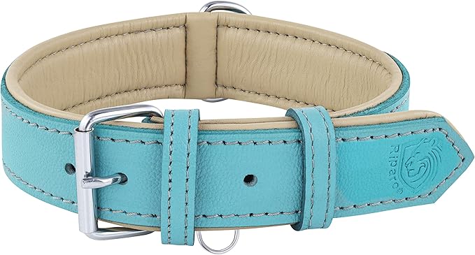 Riparo Adjustable Leather Dog Collar - Heavy Duty Wide Dog Collar for Small, Medium, Large and Extra Large Dogs with Dog Tag Holder (XXL: 2” Wide for 26”-29” Neck, Aqua)