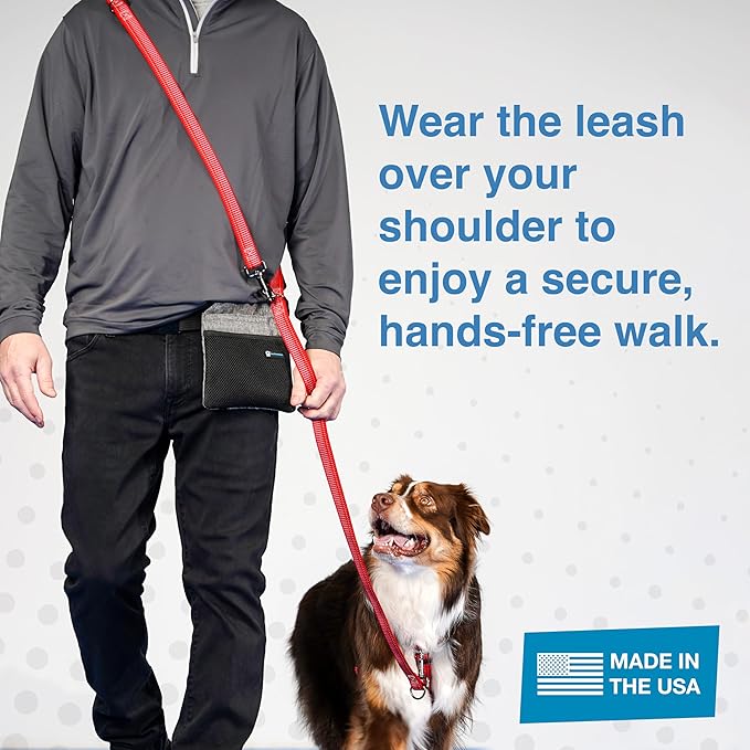 Blue-9 Reflective Multi-Function Dog Leash, Double Attachment Adjustable Lead for Obedience Training and Running, 6 Feet, Made in The USA, Small/Medium, Red