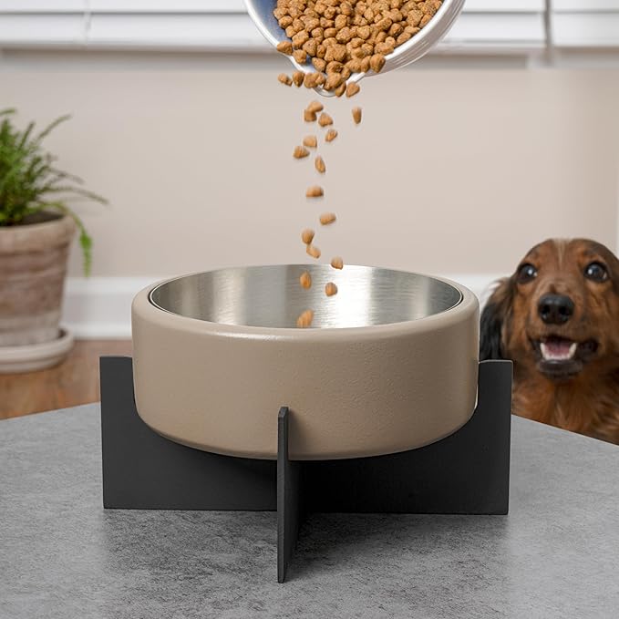 DBL3000G Intersecta Small/Medium Concrete and Stainless Steel Bowl 16oz (2 Cups) with Metal Stand Pet Feeder, Brown/Black
