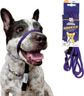Heather's Heroes Sidekick Dog Headcollar with Leash - Effective Dog Training Tool for Leash Reactivity and Behavior Issues (Purple, Mini (1/4"))